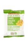 Chips bio banane plantain salées Ethiquable