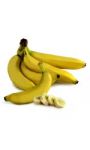 Bananes Cavendish bio
