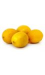 Citrons jaunes Primofiori