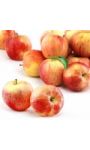 Pommes Gala FILIERE QUALITE CARREFOUR