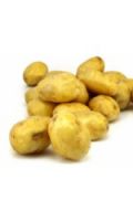 Pommes de terre de consommation blanches non lavées Agata