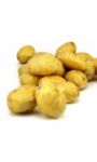 Pommes de terre de consommation Agata