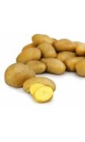 Pommes de terre de consommation blanches Agata