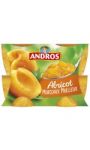 Desserts de fruits abricot Andros