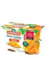 Dessert  fruitier mangue s/sucres ajoutés ANDROS