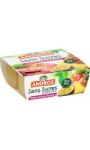 Compotes pomme ananas passion s/sucres ajoutés ANDROS