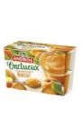 Compotes abricot Andros