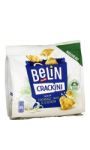 Biscuits apéritifs fromage frais & oignons BELIN