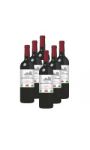 Vin rouge Bio Bordeaux Castillon Côtes de Bordeaux Merlot - Cabernet Franc CHATEAU ROCHER-