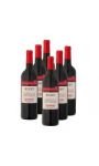 Vin rouge Sans soufre ajouté Sud Ouest Buzet 2016 La Cave d'Augustin Florent