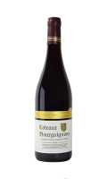 Vin rouge Coteaux Bourguignons 2016 ou 2017 La Cave d\'Augustin Florent