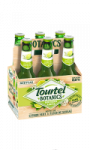 Bière sans alcool citron vert & fleur de sureau Tourtel Botanics