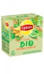 Thé vert Bio gingembre citron Lipton