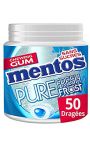 Chewing Gum pure fresh frost Mentos