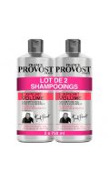 Shampooing expert volume Franck Provost