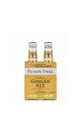 Premium Ginger Ale Fever-Tree