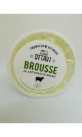 Fromage Brousse au lait de brebis Ottavi