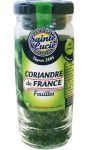 Coriandre de France feuilles Sainte Lucie