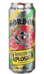 Bière Xplosion Revolution Tequila Gordon