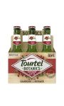 Bière sans alcool cranberry & romarin sans sucres ajoutés Tourtel Botanics