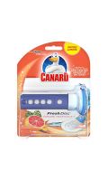 Canard® Fresh Disc Blister Aurore Tropicale