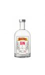 Gin Salers 40% - 70 Cl