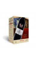 Aop Côtes de Duras Rouge Secret de Berticot Bib 3L
