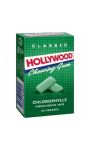 Chewing-gum classic Chlorophylle parfum Menthe Verte Hollywood