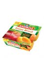 Dessert fruitier pomme abricot Andros