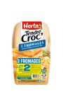 Herta Croque-Monsieur 3 Fromages X2 - Lot 2