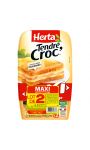 Herta Croque-Monsieur Maxi Jambon Fromage X2 - Lot 2