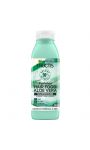 Shampoing hydratant hair food aloe vera Fructis Garnier
