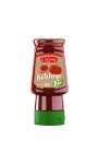 Tomato Ketchup Bio Colona