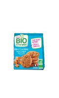 Mini Cookies Bio Saveur Caramel Beurre Salé Dukan