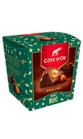 Chocolat praliné mini roc Côte d\'Or