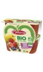 Compote Bio pomme fraise myrtille sans sucres ajoutés Materne