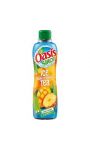 Sirop Ice Tea Mangue Ananas Oasis