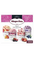 Glace Fruit Collection Haagen Dazs