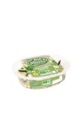 Salade concombre menthe fromage blanc Bio Mix Buffet