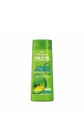 Force et brillance shampoing fortifiant Fructis