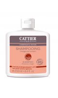 Shampoing au vinaigre de romarin Bio pour cheveux gras Cattier