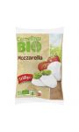 Mozzarella bio Carrefour Bio
